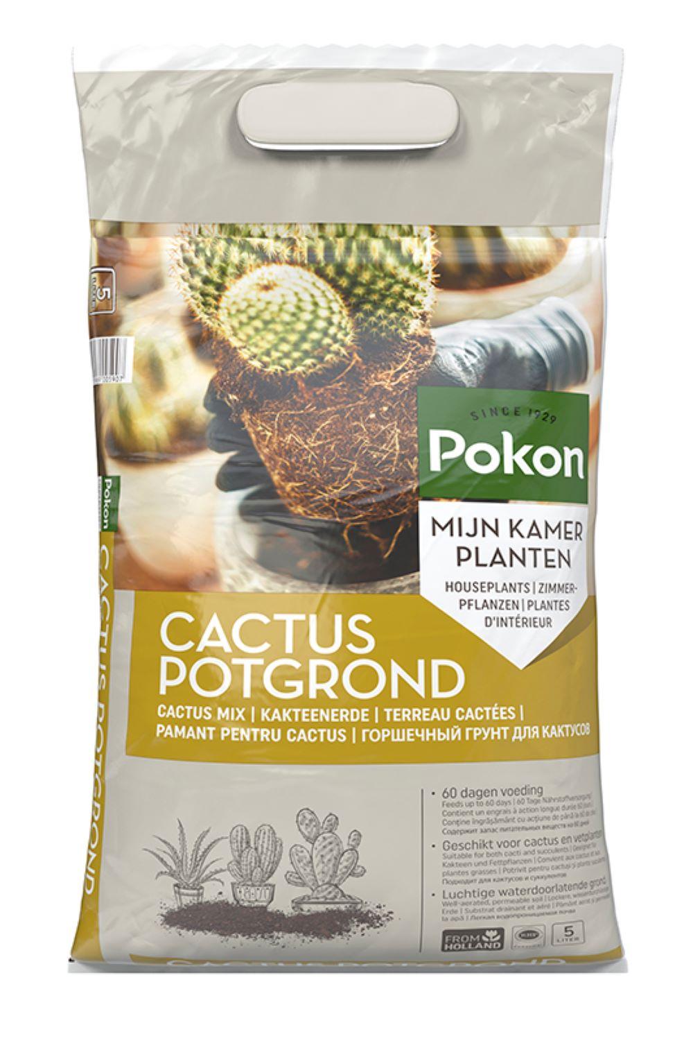Pokon Kaktuserde für gesunde Pflanzen