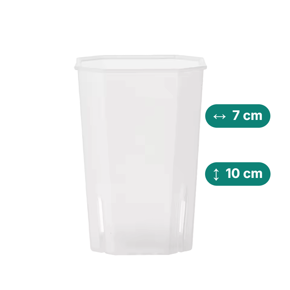 Eckige & hohe Aroid Töpfe – Platzsparend & Transparent (Höhe in cm:10, Topfdurchmesser in cm:7)